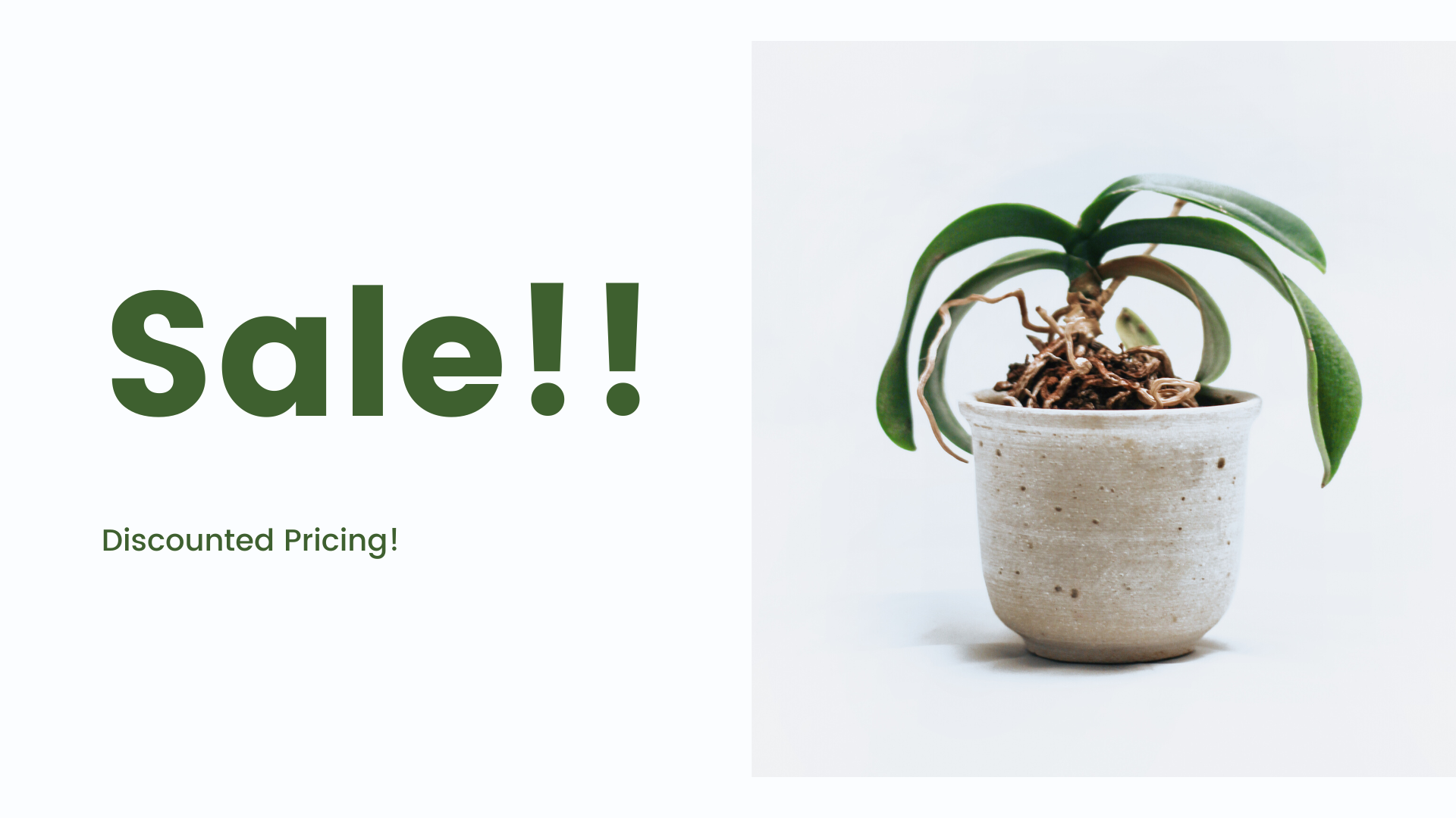 On Sale!