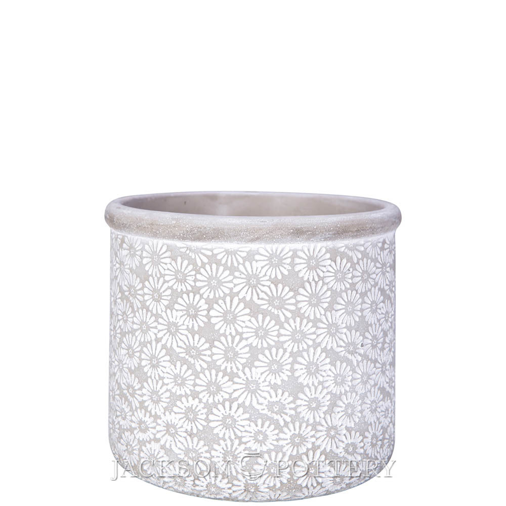 5.5" Tall Flower Power Pot