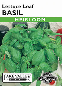 BASIL LETTUCE LEAF HEIRLOOM