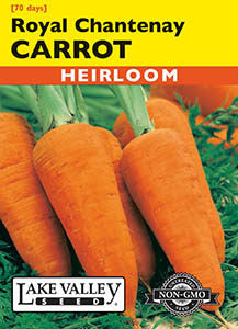 CARROT ROYAL CHANTENAY HEIRLOOM