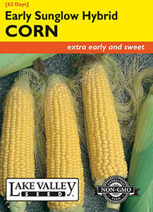 CORN SWEET EARLY SUNGLOW HYBRID