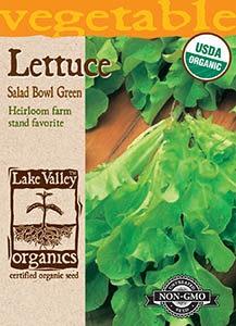 ORGANIC LETTUCE SALAD BOWL GREEN HEIRLOOM