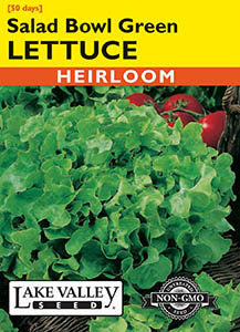 LETTUCE SALAD BOWL GREEN HEIRLOOM