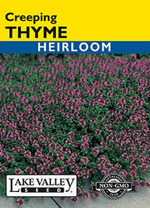 THYME CREEPING HEIRLOOM