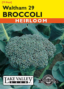 BROCCOLI WALTHAM 29 HEIRLOOM