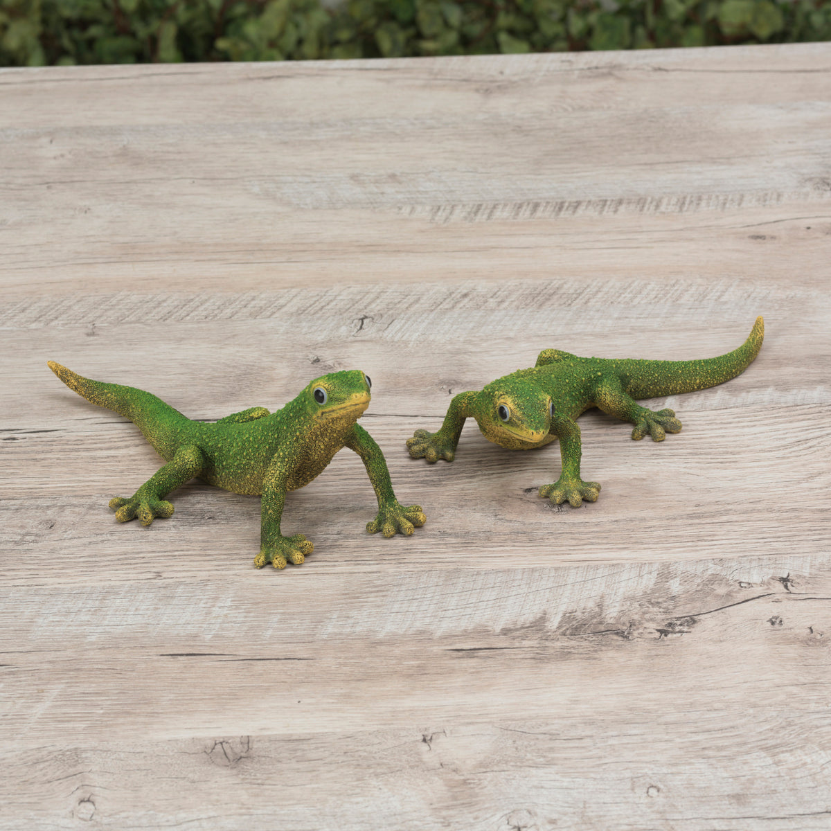 8.86"L Resin Lizard