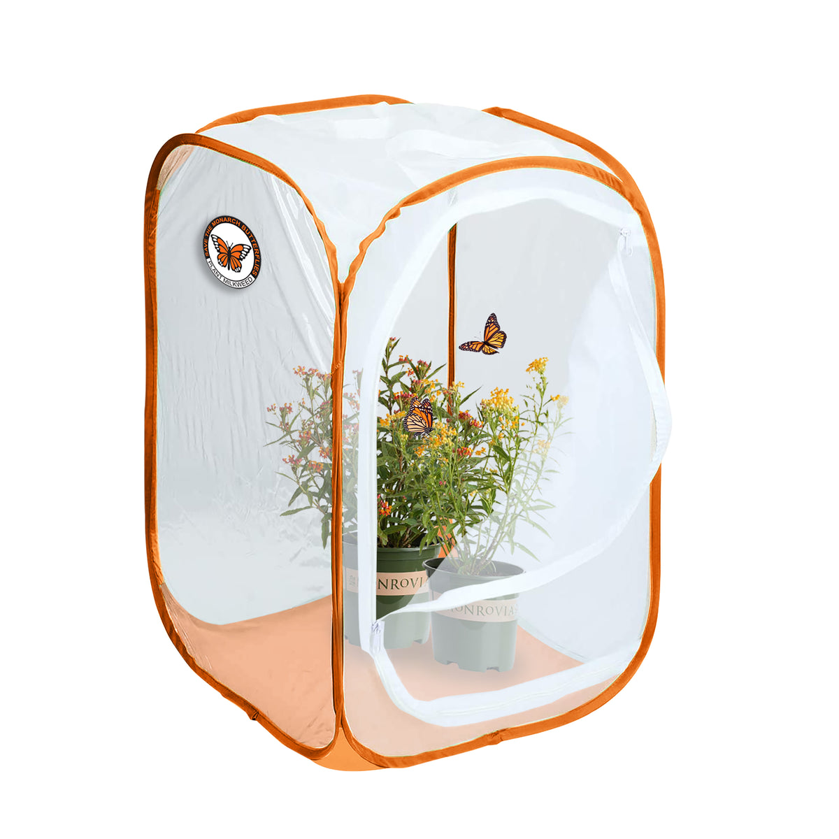 Monarch Incubator
