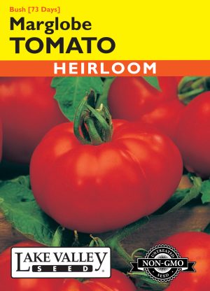 TOMATO BUSH MARGLOBE HEIRLOOM