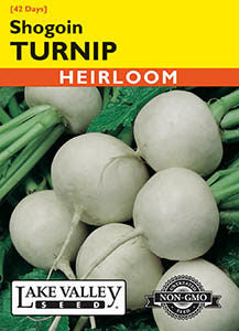 TURNIP SHOGOIN HEIRLOOM