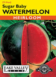 WATERMELON SUGAR BABY HEIRLOOM