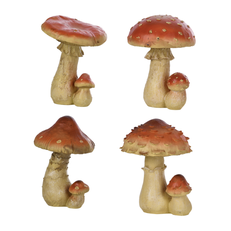 Large Mushroom
