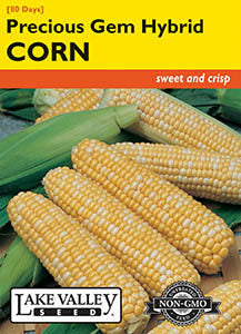 CORN SWEET PRECIOUS GEM HYBRID BICOLOR