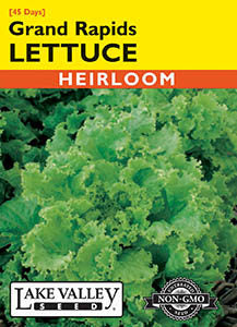 LETTUCE GRAND RAPIDS HEIRLOOM