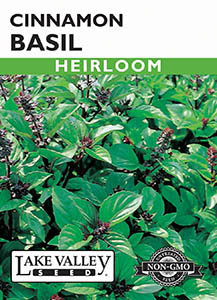 BASIL CINNAMON HEIRLOOM