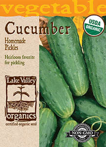 ORGANIC CUCUMBER HOMEMADE PICKLES HEIRLOOM