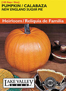 PUMPKIN NEW ENGLAND SUGAR PIE HEIRLOOM