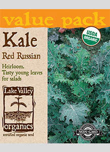 ORGANIC KALE RED RUSSIAN VP HEIRLOOM