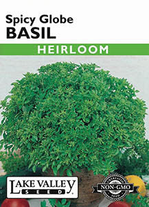 BASIL SPICY GLOBE HEIRLOOM