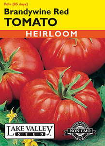 TOMATO POLE BRANDYWINE RED HEIRLOOM