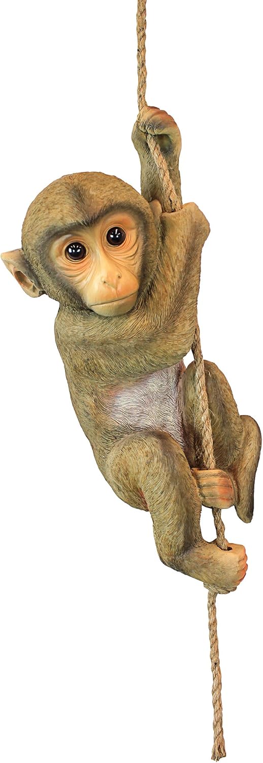 Chico The Chimpanzee Hanging Monkey