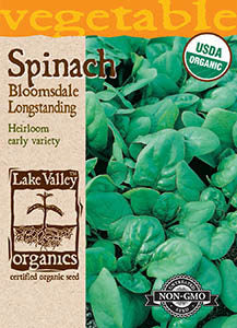 ORGANIC SPINACH BLOOMSDALE LONGSTANDING HEIRLOOM