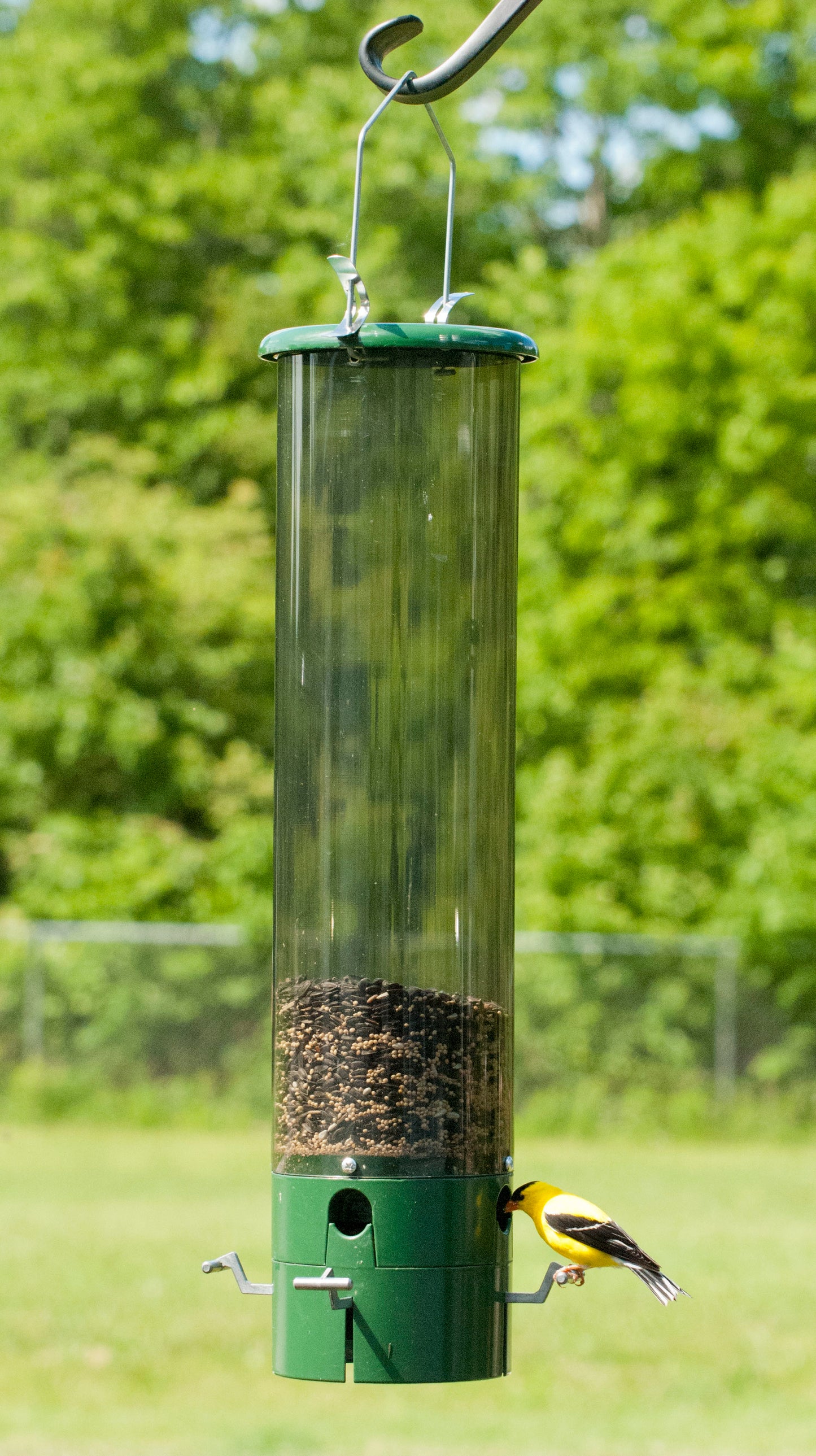 The Bouncer Feeder