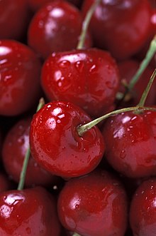Cherry - Bing Semi Dwarf