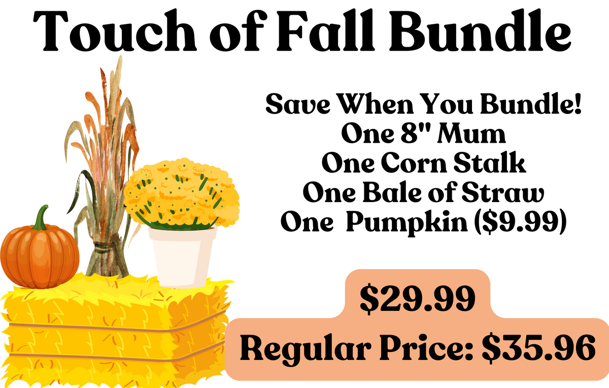 Touch of Fall Bundle