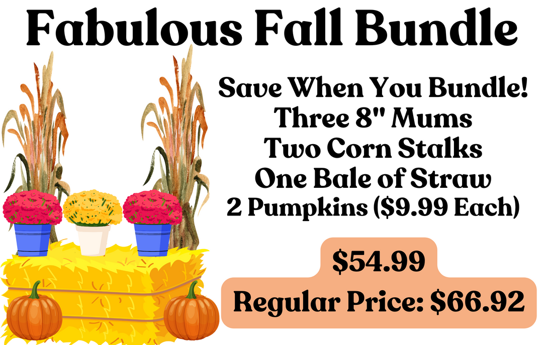 Fabulous Fall Bundle