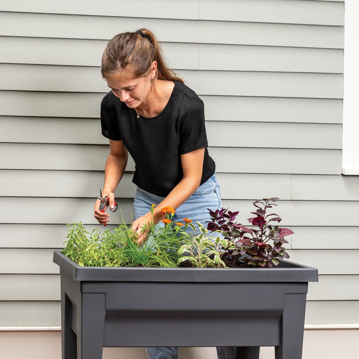 Harvest Elevated Planter