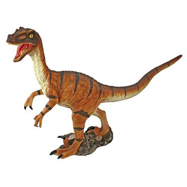 Velociraptor Dinosaur