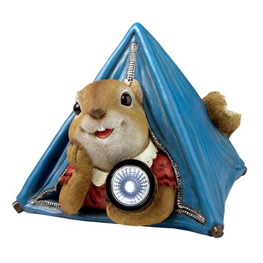 Backyard Camper Squirrel Solar