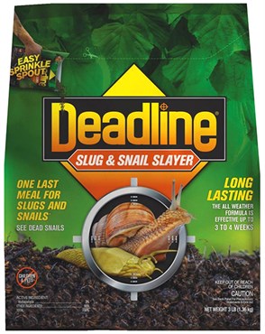 Snug & Snail Slayer