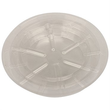 Saucer