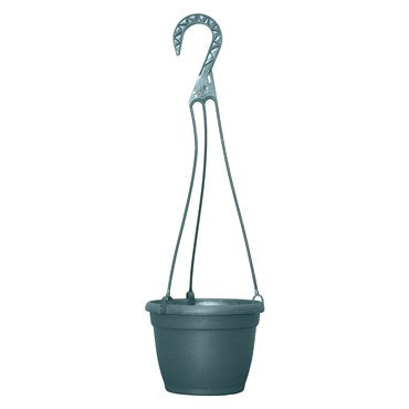 6" Grower Select® Bella Hanging Basket
