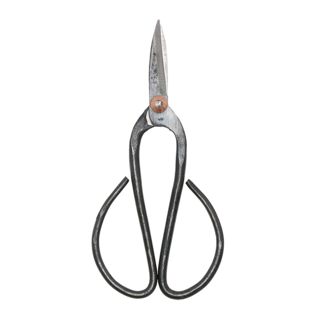 Large Bonsai Secateurs