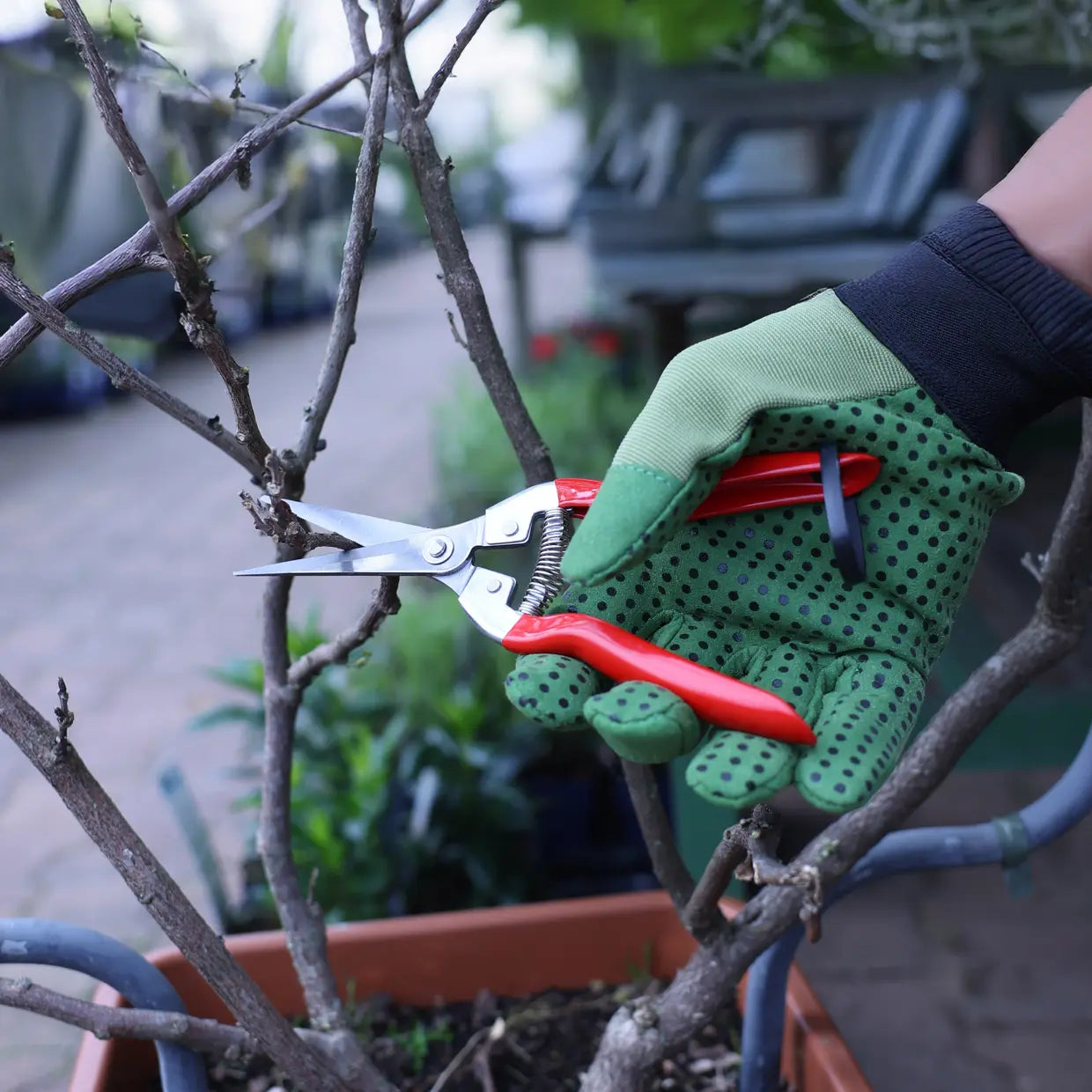 Thinning Pruner