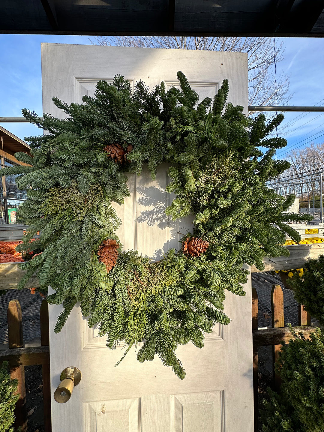 32" Fresh Noble Fir Wreath