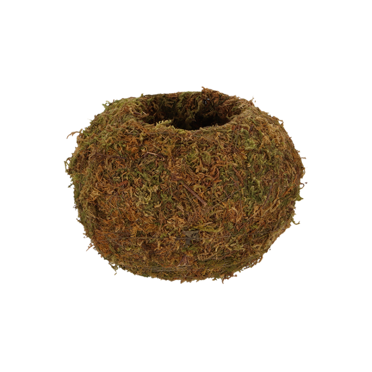 Medium Kokedama Ball