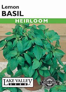 BASIL LEMON HEIRLOOM