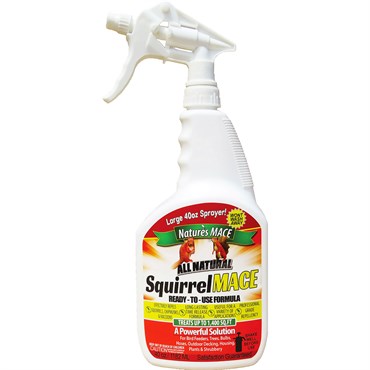 Squirrel Mace
