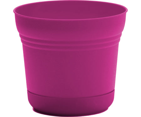 Saturn Fuchsia Planter