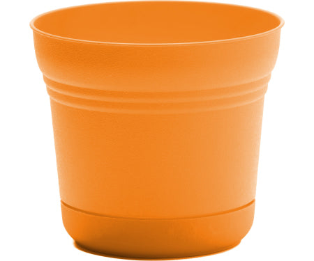 Saturn Mango Planter