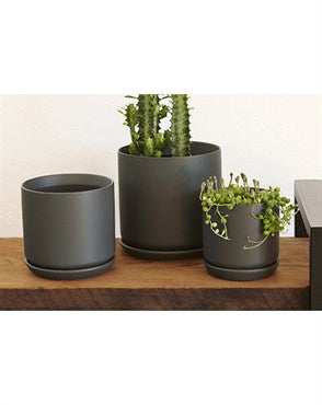 Palm Springs Cylinder