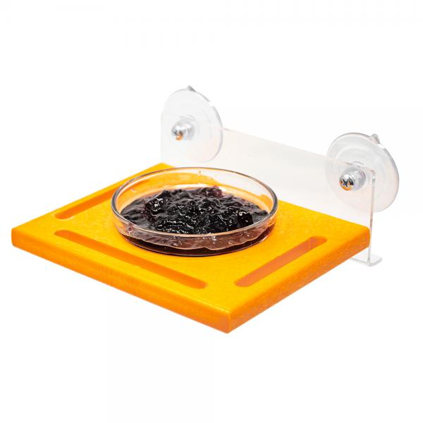 Orange Window Jelly Feeder