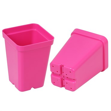 Sunpack 2.5" Square Pot Mixed Color - Image 5