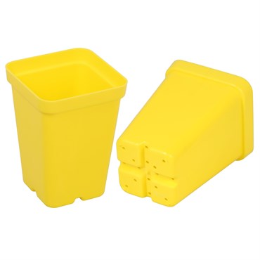 SUNPACK® 2.5" Square Pot