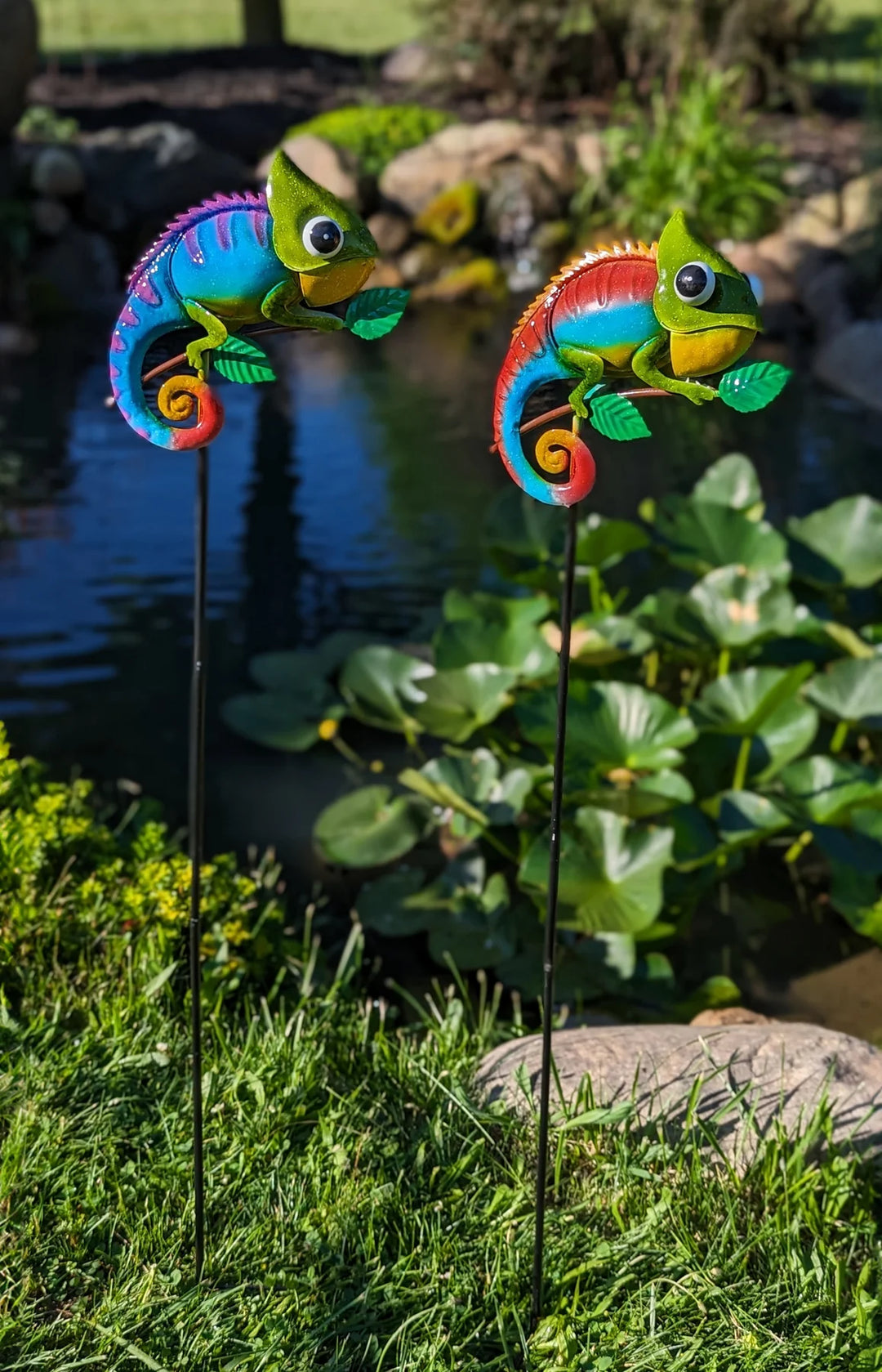 Chameleon