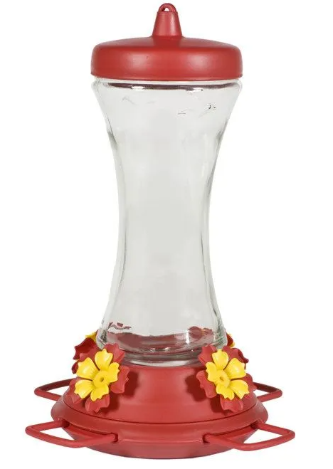 Glass Hummingbird Feeder with Adjustable Perch