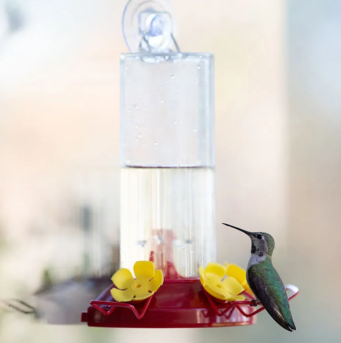 Plastic Window Hummingbird Feeder